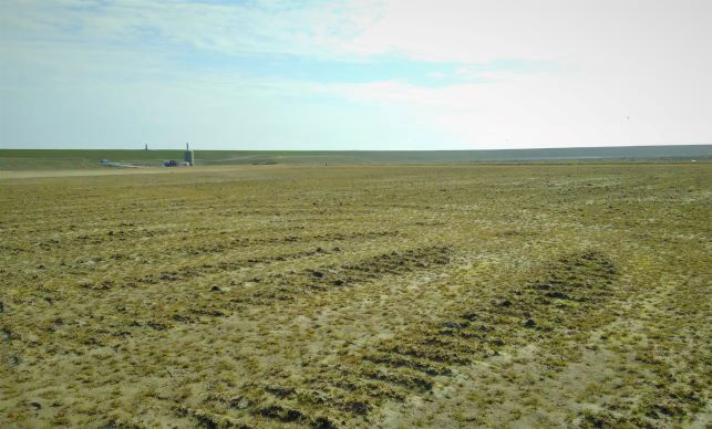 bare soil Dubbele Dijk