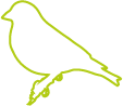 GreenFinch Research